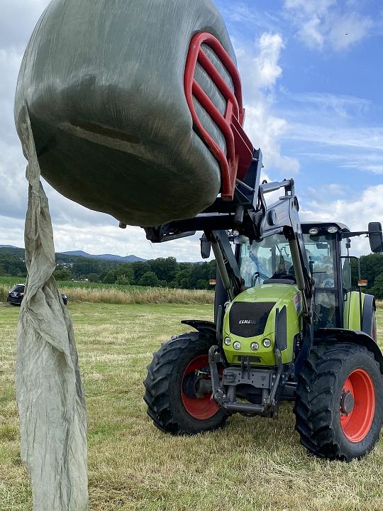 Bild: 20220625-105251.jpg